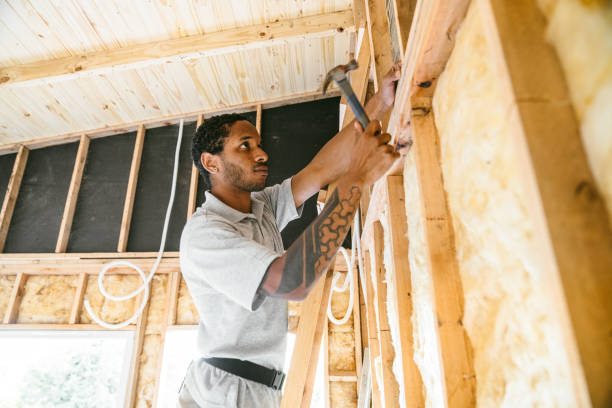 Insulation Air Sealing in San Benito, TX